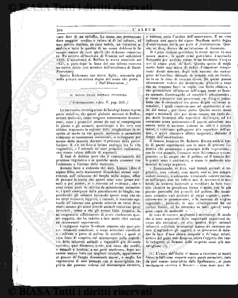 v. 18, n. 30 (1851-1852) - Pagina: 233