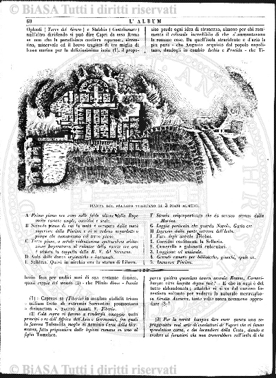 v. 13, n. 21 (1786-1787) - Pagina: 161