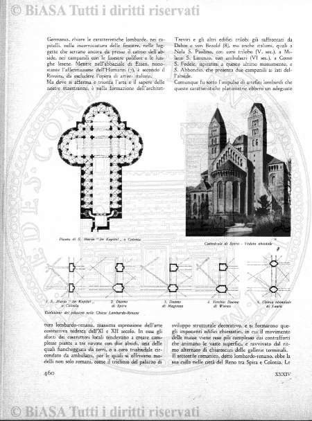 v. 14, n. 43 (1847-1848) - Pagina: 341