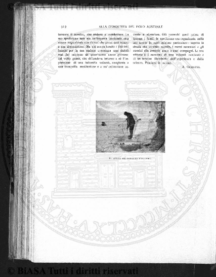 v. 19, n. 33 (1852-1853) - Pagina: 257