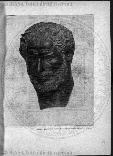 v. 9, n. 28 (1842-1843) - Pagina: 217