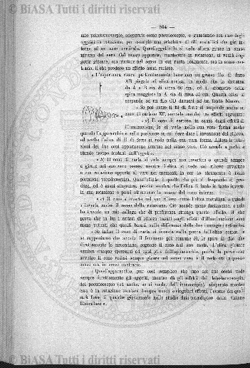 n. 7 (1865) - Pagina: 49