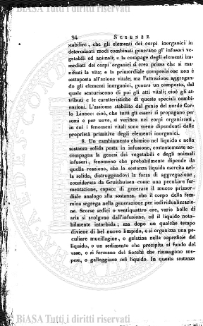 v. 25, n. 48 (1858-1859) - Pagina: 381