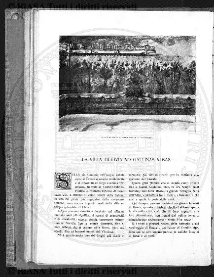 n. 4 (1931) - Copertina: 1