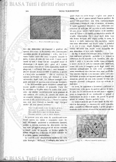 s. 9, v. 8, n. 4 (1996-1997) - Copertina: 1