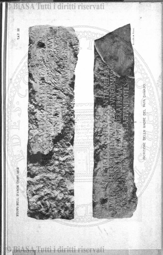 n. 15 (1883) - Pagina: 113 e sommario