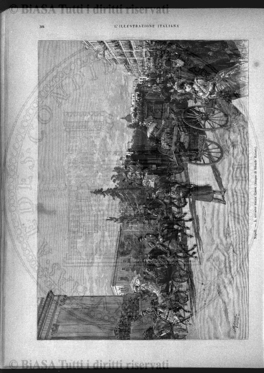 v. 17, n. 28 (1850-1851) - Pagina: 217