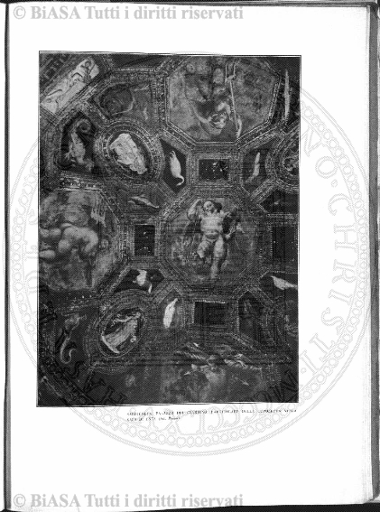 n. 5 (1838) - Pagina: 49