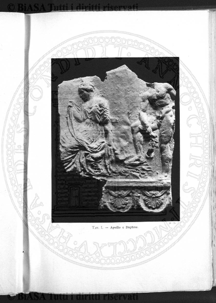 n. 48 (1894) - Frontespizio