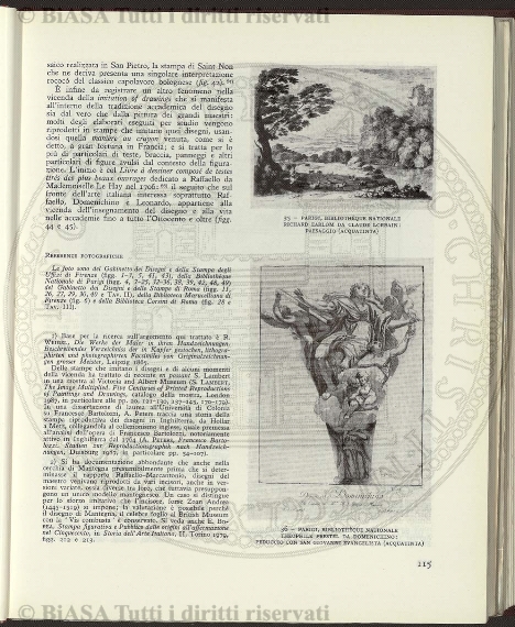 n. 50 (1874-1875) - Sommario: p. 393