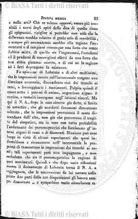 1881 (1881) - Frontespizio