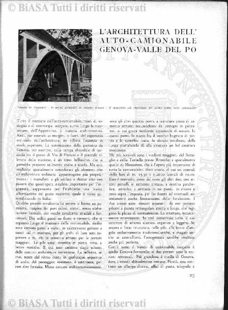 n. 31 (1883) - Pagina: 241 e sommario