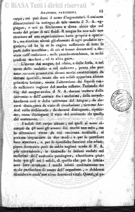 n. 4 (1890-1891) - Pagina: 31