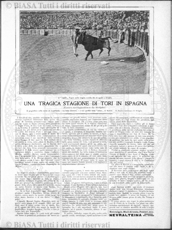 n. 41 (1904) - Frontespizio