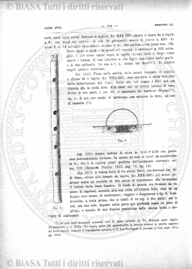 v. 14, n. 14 (1847-1848) - Pagina: 105