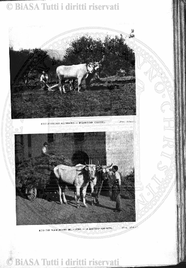 v. 9, n. 41 (1844-1845) - Pagina: 321