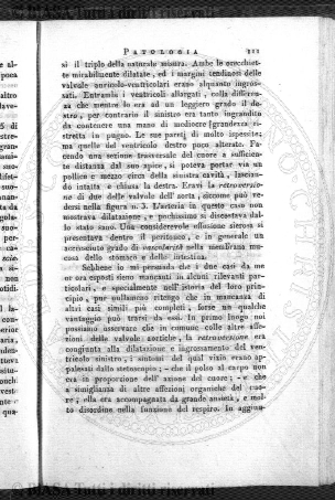 v. 13, n. 30 (1846-1847) - Pagina: 233