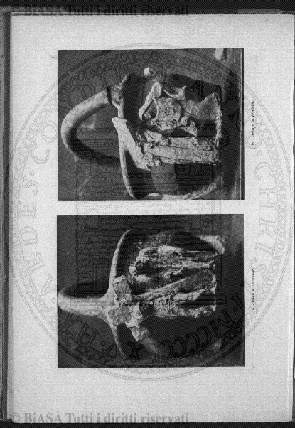 v. 13, n. 28, supplemento (1846-1847) - Pagina: 1