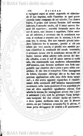 v. 2, n. 8-9 (1884-1885-1886) - Copertina: 1