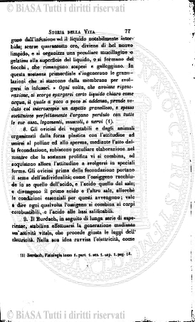 s. 2, n. 45 (1888-1889) - Pagina: 1