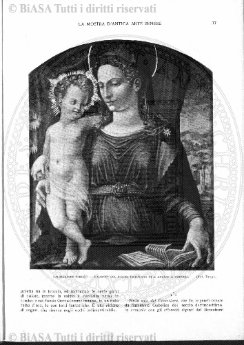 s. 2, n. 32-33 (1889-1890) - Pagina: 733