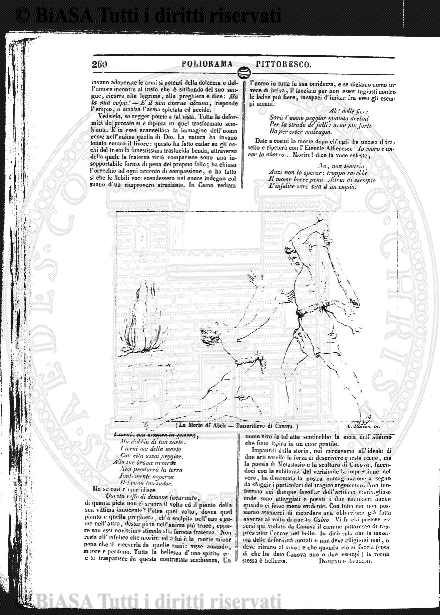 v. 11, n. 25 (1784-1785) - Pagina: 201