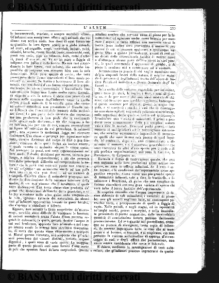 n. 2 (1902) - Copertina: 1 e sommario