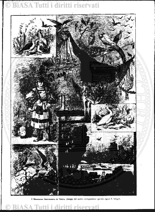 v. 9, n. 10 (1842-1843) - Pagina: 73