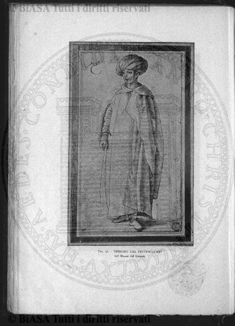 supplemento v. 1, n. 5-6 (1882-1883) - Pagina: 33