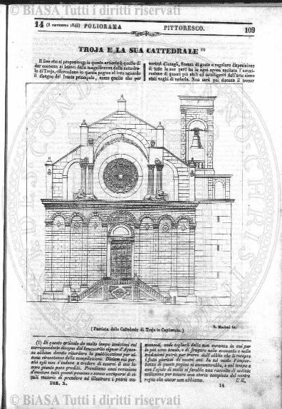 v. 22, n. 28 (1855-1856) - Pagina: 217