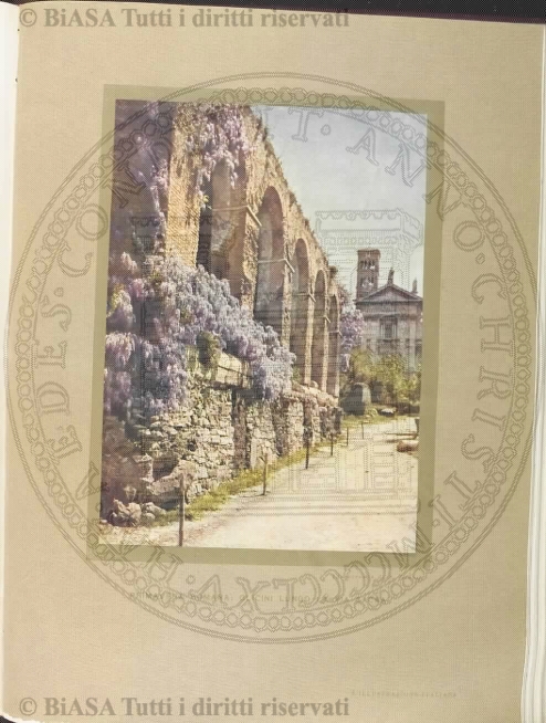 n. 7 (1884) - Pagina: 13