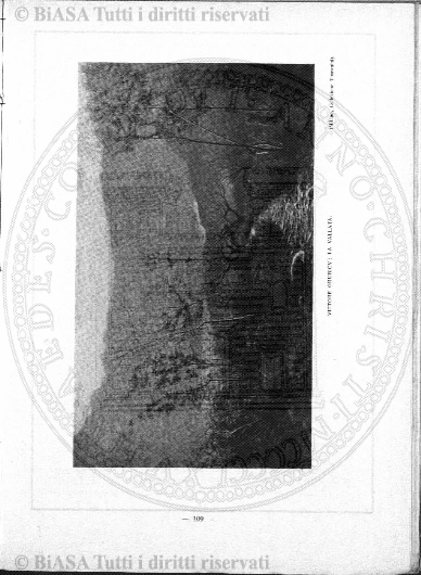 s. 6, n. 11 (1915) - Copertina: 1