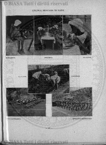 n. 3 (1884) - Pagina: 33