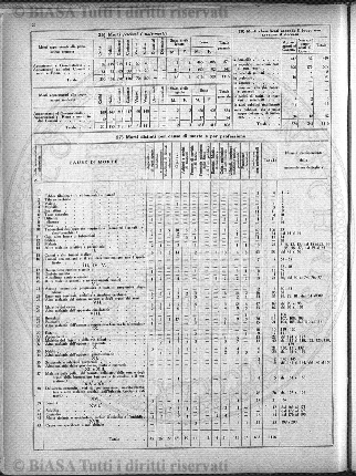 n. 8 (1907) - Pagina: 431