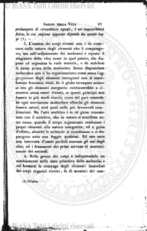 n. 3 (1910) - Copertina: 1