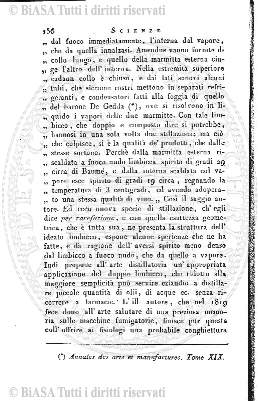n. 10-11-12 (1925) - Pagina: 333