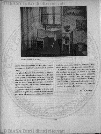 n. 11 (1884) - Frontespizio