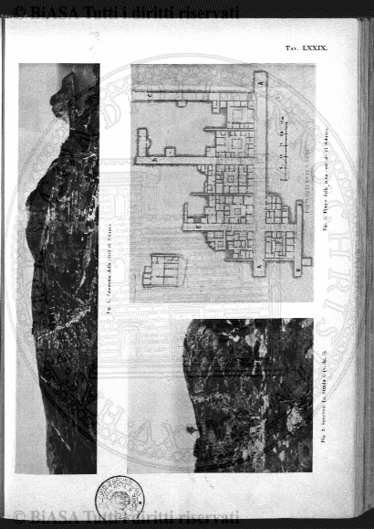 n. 3 (1932) - Pagina: 97