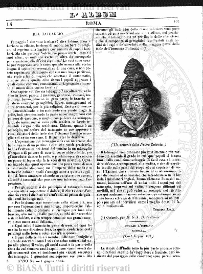 n. 4-5 (1882) - Pagina: 53