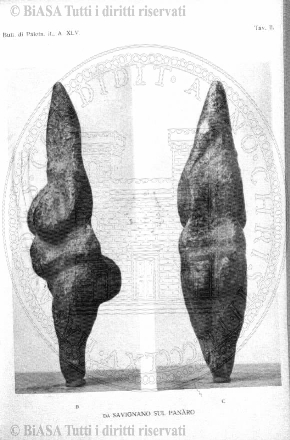 s. 2, n. 18 (1892-1893) - Pagina: 409