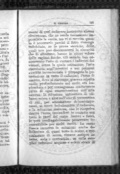 n. 25 (1883) - Frontespizio