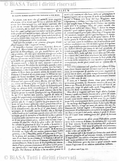 n. 38 (1874-1875) - Pagina: 297