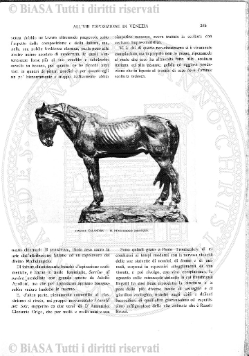 n.12 (1913) - Copertina: 1 e sommario