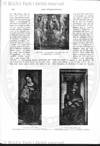 s. 2, n. 19 (1891-1892) - Pagina: 433