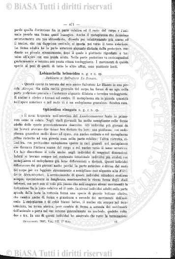 n. 30 (1837) - Pagina: 117