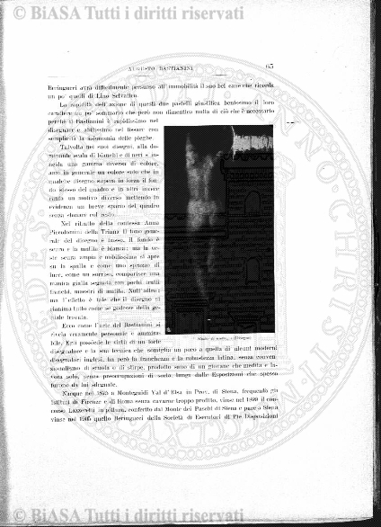 v. 20, n. 3-4 (1897) - Copertina: 1