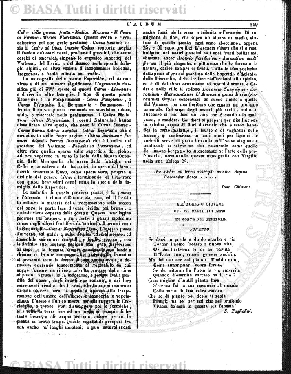 n. 48 (1893) - Frontespizio