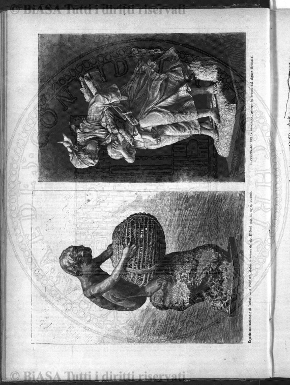 s. 3, n. 5 (1893) - Pagina: 65