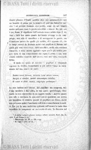 n. 7 (1923-1924) - Copertina: 1