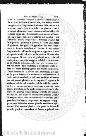 n.s., n. 23 (1896) - Pagina: 177 e sommario